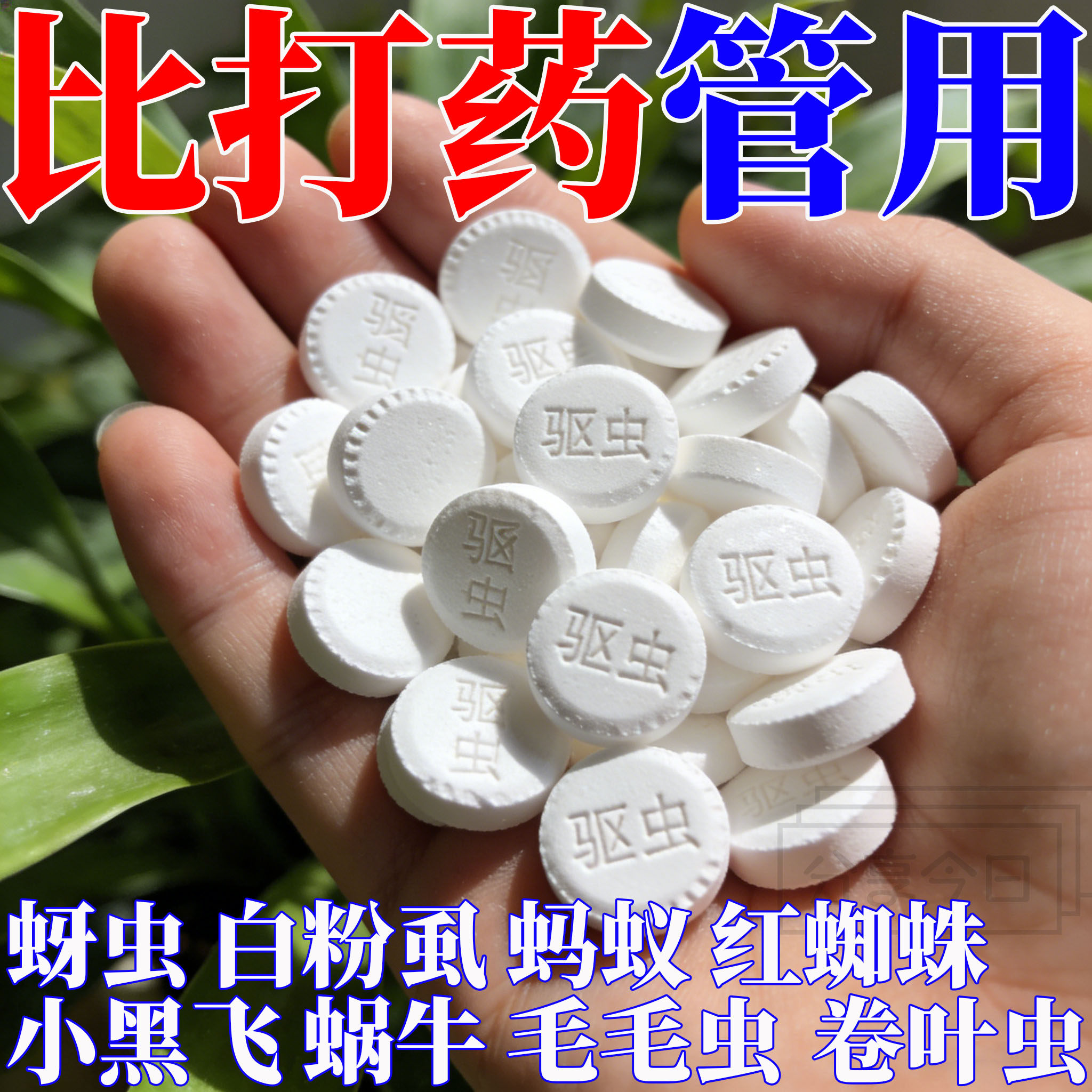 园艺防虫片驱虫除糖化硼肥片盆栽果花卉植物防烂根土壤养花蚜虫
