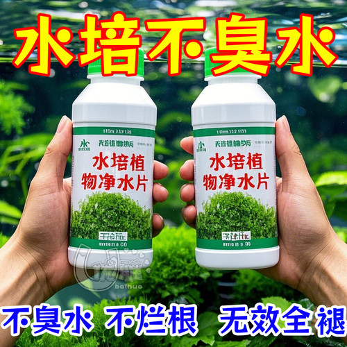 水培植物净水片除臭不烂根