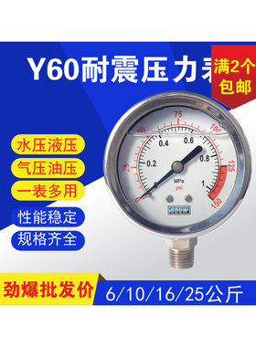 耐震不锈钢Y60处理压表液