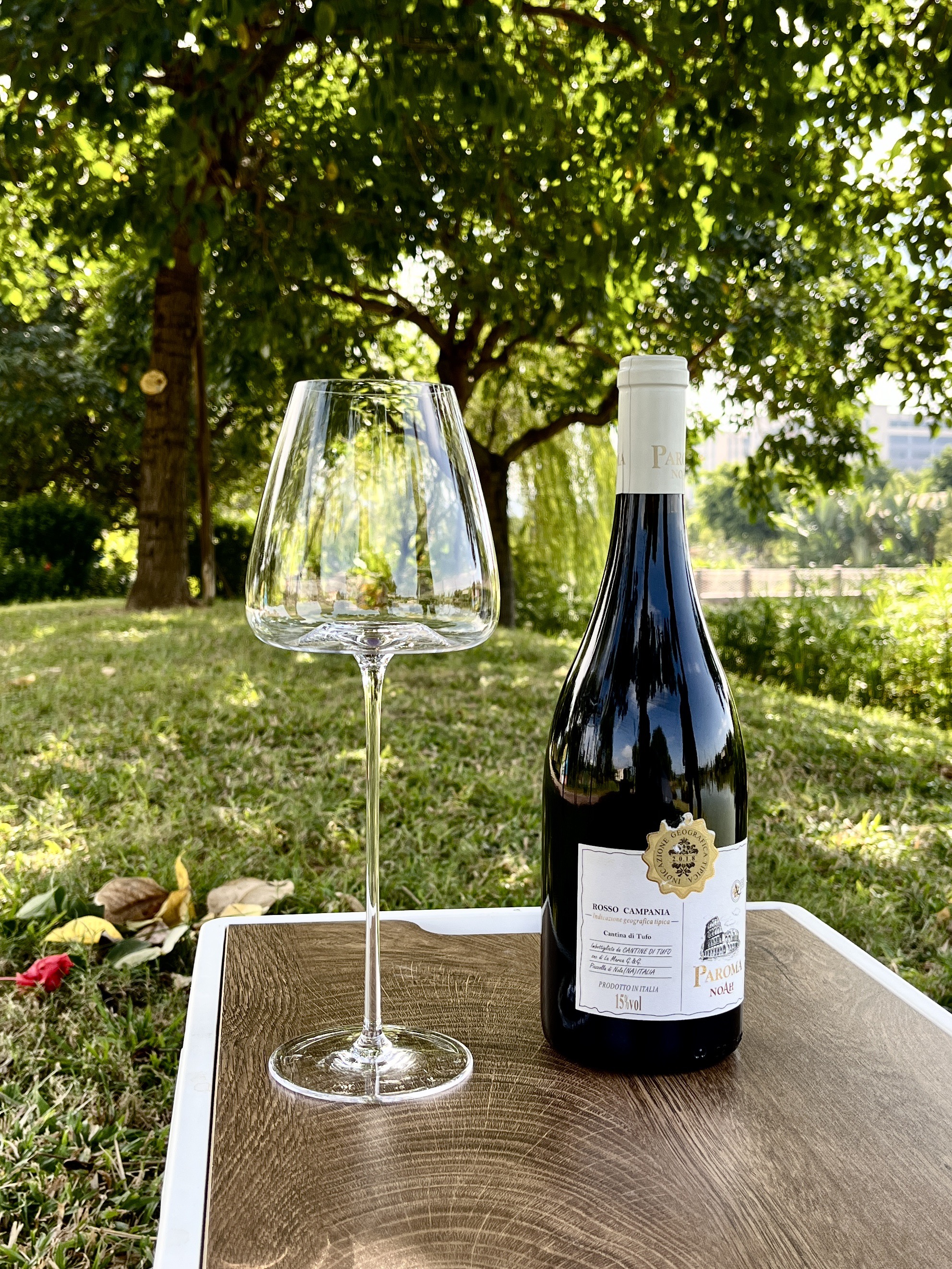 极薄波底红酒杯高端波尔多勃艮第杯香槟杯白葡萄酒杯露营酒杯包邮