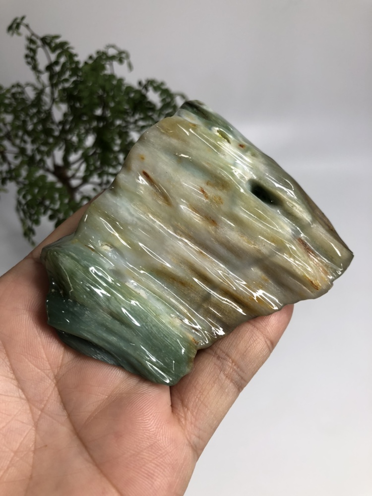 缅甸树化玉手把件
