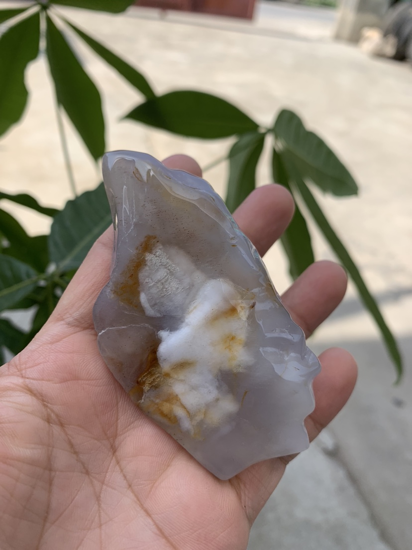 缅甸树化玉手把件高9/宽4.5/厚3厘米