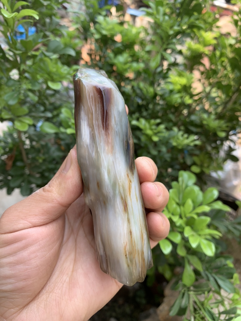缅甸树化玉手把件高13/宽5/厚3.5厘米