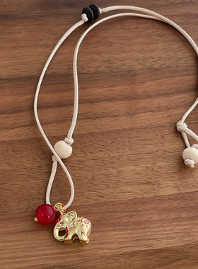 s925银小象项链女小众设计感高级锁骨链复古简约链款毛衣新配饰