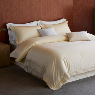 25秋冬新款 轻奢纯色100支超细旦天丝棉磨毛床单四件套床上用品