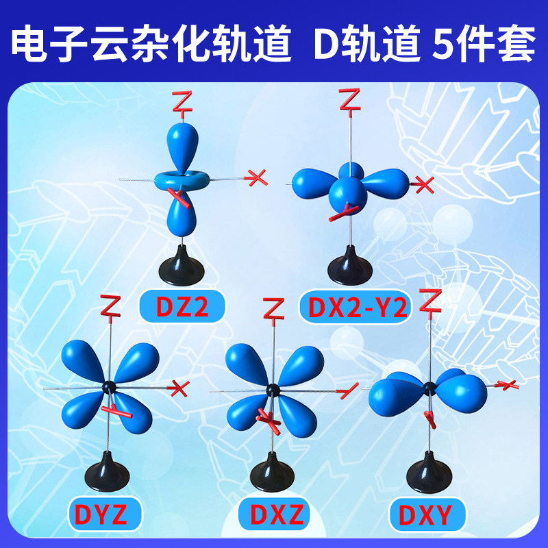 电子云杂化轨道D轨道模型5件套DZ2结构模型高中大学化学模型教具