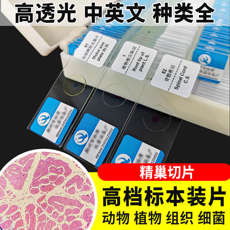 精巢切片装片生物切片涂片小学初中高中生物科学实验切片显微镜观