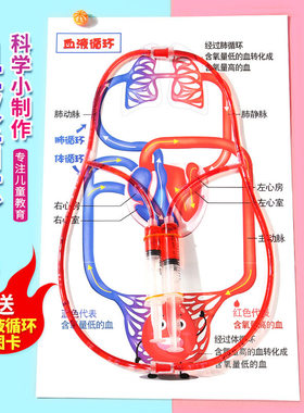 人体血液循环模型diy科技小制作材料包模拟演示心脏血液循环小学