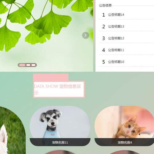 Java/VUE/Springboot/动物领养平台/MySQL/源码/Eclipse/Idea