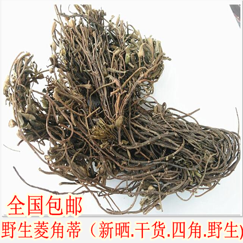 蔡卷卷野生四角菱角蒂 晒干菱角梗 菱角菜菱角根 搭配红菱壳新鲜