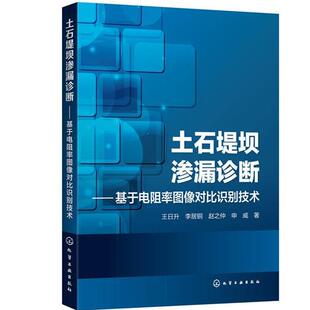 书 化学工业出版 土石堤坝渗漏诊断 9787122366023 社10 基于电阻率图像对比识别技术