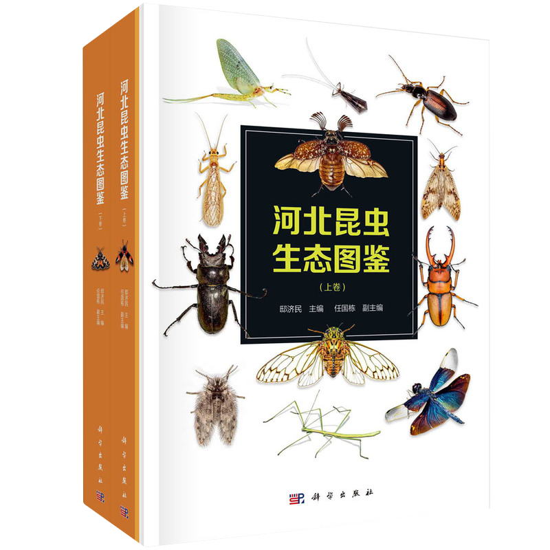 (上下卷) 邸济民编 科普性昆虫知识 分类编排 原尾纲 弹尾纲 双尾纲