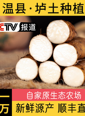 甄怀堂农家铁棍山药新鲜5斤河南焦作温县垆土铁杆淮山药正宗怀山