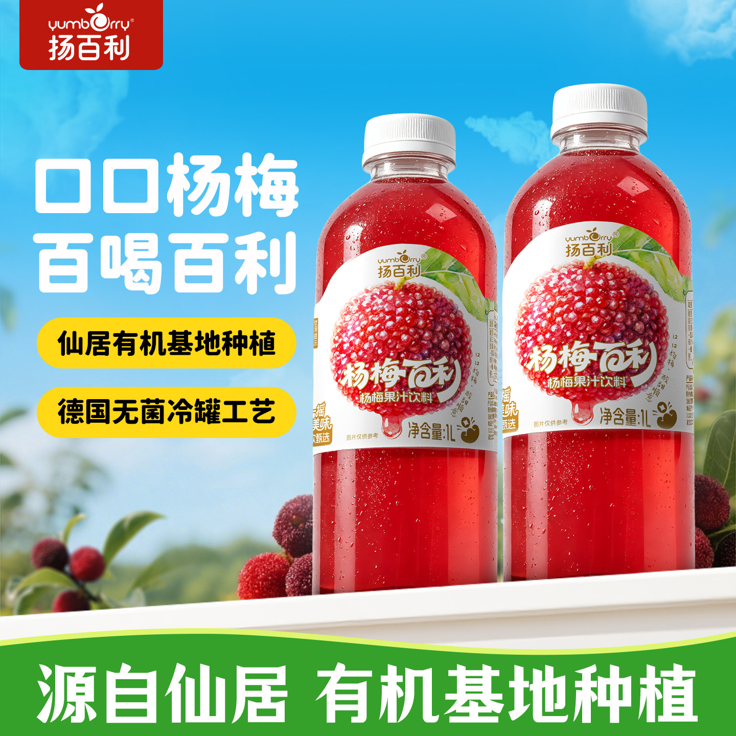 扬百利仙居杨梅汁饮料1L*2瓶夏日解暑果蔬汁酸梅汤冰镇果汁解腻