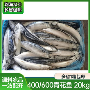 挪威冷冻青花鱼1条400 盐烧烤鲐鱼片挪威鲭鱼 600g商用整箱日式