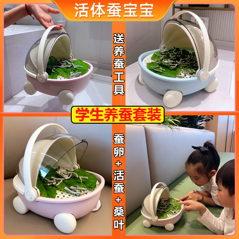 蚕宝宝学生养蚕套装太空养育仓舱箱送工具蚕卵新鲜桑叶饲养盒专用