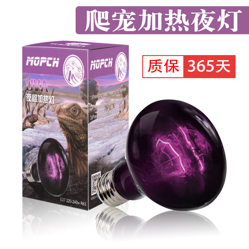 爬宠夜灯夜间加热灯鹦鹉加热灯