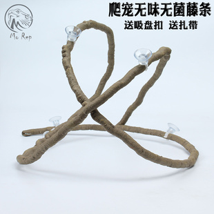 藤条爬虫爬宠箱造景树藤假树枝蔓藤饲养箱装饰仿真藤条任意造型