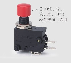 小型微动开关 RVAQ 按钮颜色可选
