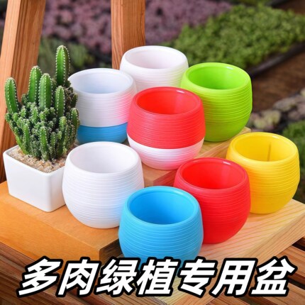 石丸彩虹塑料盆拇指花盆多肉盆栽自动储水懒人圆形生石花彩色花盆