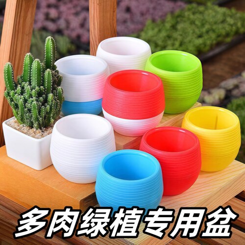 石丸彩虹塑料盆拇指花盆多肉盆栽