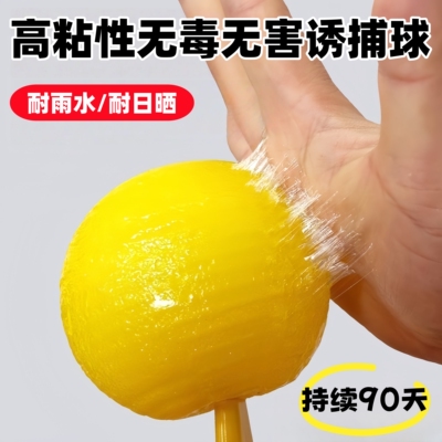 果蝇诱捕器小飞虫灭杀神器室内