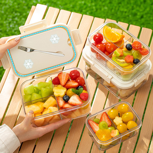 日本水果便当盒带叉子学生专用外出便携野餐食品级移动小冰箱保鲜