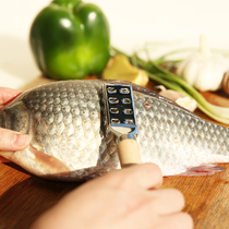 Japanese echo scaler stainless steel scaler