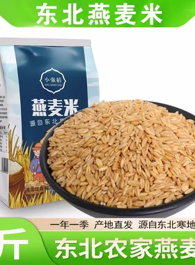 5斤燕麦米新米燕麦仁糙米代餐胚芽米燕麦粒东北五谷杂粮粗粮商用