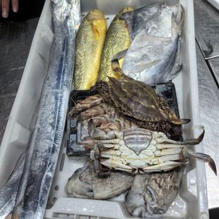 年货海鲜大礼包新鲜海鲜带鱼鲳鱼黄鱼墨鱼九节虾红膏蟹礼盒