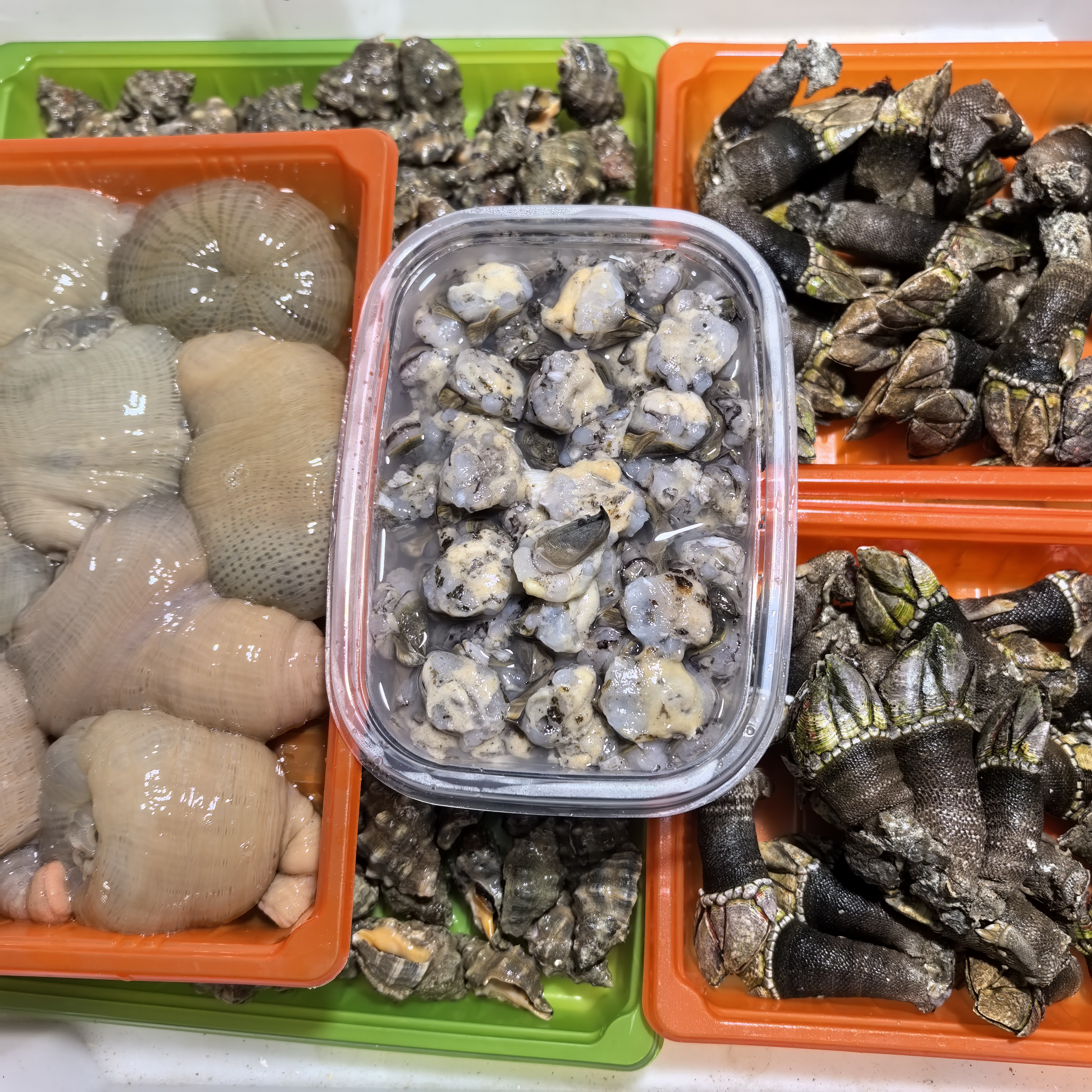 台州特色纯野生海鲜新鲜活海葵沙蒜藤壶肉冲大佛手观音手螺辣螺,水产肉类/新鲜蔬果/熟食,海鲜水产礼盒套装,淘宝优惠券,粉丝福利购,淘宝优惠卷