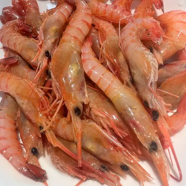 台州东海船冻虾可刺身野生小红虾3斤江浙沪顺丰包邮新鲜海鲜水产