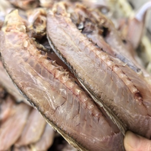 台州特色松门鱼鲞白梅鱼鲞海鲜干货渔民自晒老鼠嘴白果鲤干