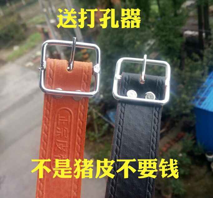 Öп×Õë