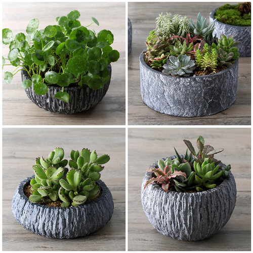 水泥简约欧式理念仿石设计