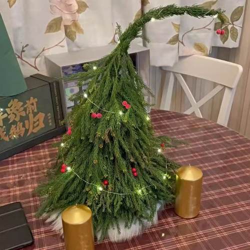桌面款圣诞树真绿植手工diy材料