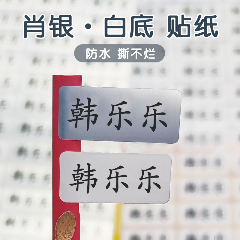 幼儿园宝宝名字贴贴纸儿童入园防水名字贴白底肖银色名字条-封面