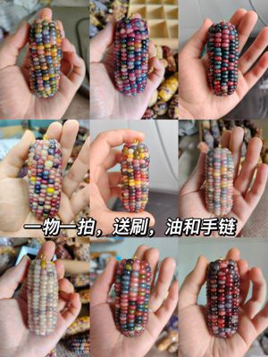 天然文玩玉米手把件宝石血丝菩提车饰挂摆件招财盘玩收藏生日礼物