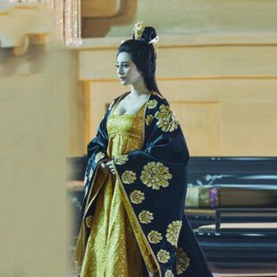 影视古装武则天杨贵妃同款唐朝女古汉服襦裙贵妃皇后冬季唐装包邮