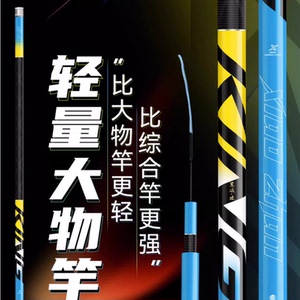 海龙王大物鱼竿台钓竿手杆