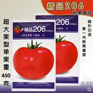 精品206 粉果番茄种子蔬菜秧苗大西红种籽种孑高产无裂果大果型