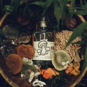 谜 云男蒸馏所 野菌子金酒