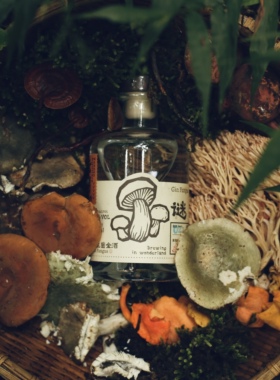云男蒸馏所/野菌子金酒【谜】