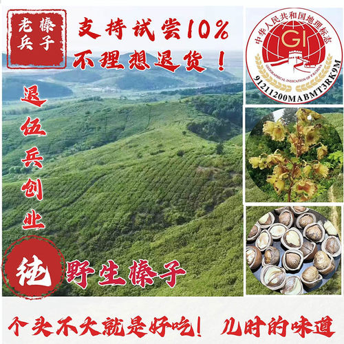 老兵榛子原味手拍纯野生榛质信