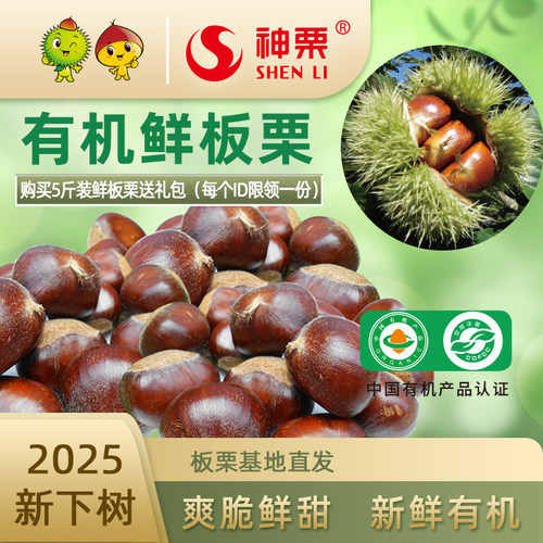 河北特产生板栗宽城板栗2025年