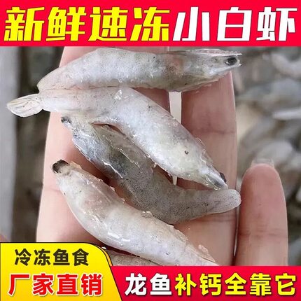 新鲜虾去枪去尾龙鱼饲料冷冻虾喂鱼喂龟河虾龙鱼专用鱼食虎鱼魟鱼