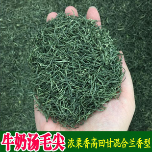 【小芽】全芽毛尖2025新茶明前高山嫩芽信阳手工毛尖绿茶茶叶250g