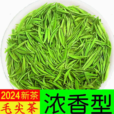 2024新茶信阳明前毛尖绿茶500g