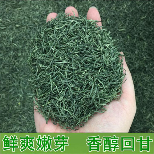 信阳毛尖2025年特级嫩芽茶叶