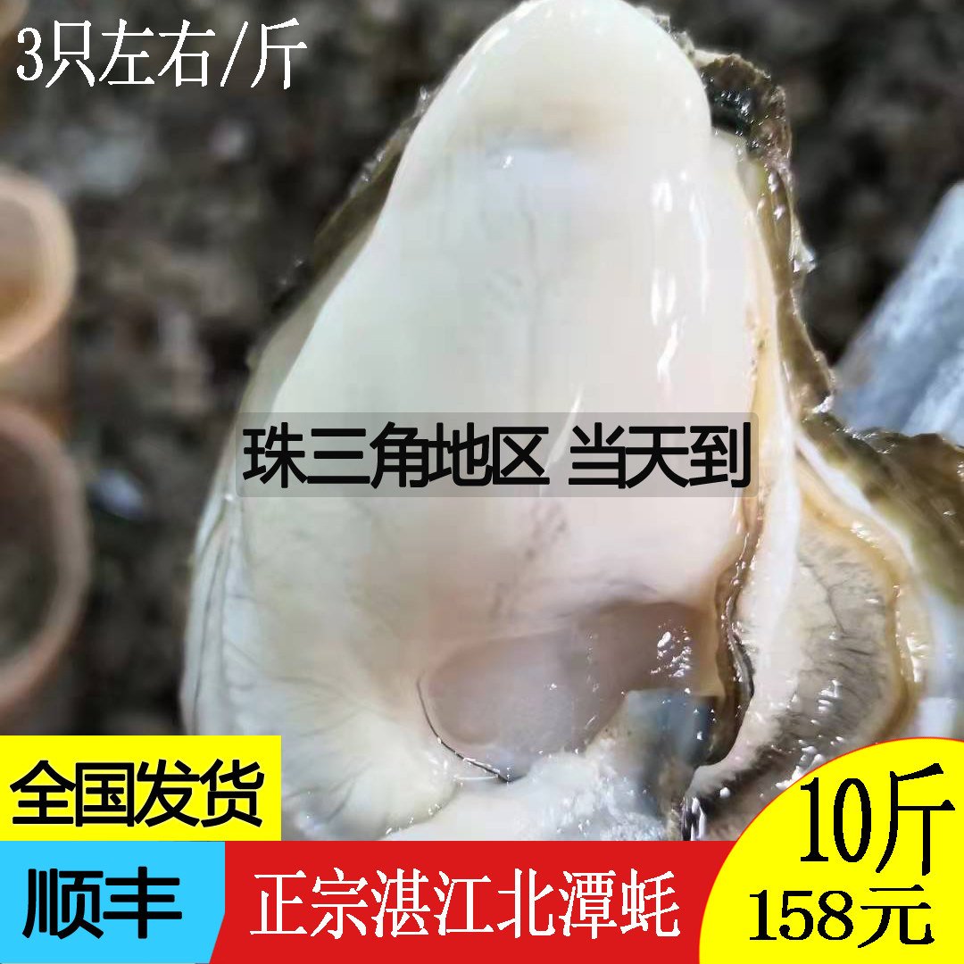 湛江北潭生蚝鲜活水产10斤家庭装烧烤食材特大蚝 广东顺丰包邮
